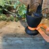 Black Cat Egg Cup - Image 3