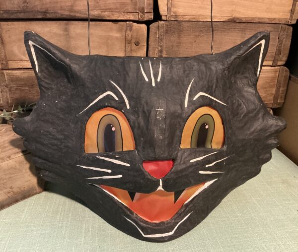 Mr Cool Cat Bucket