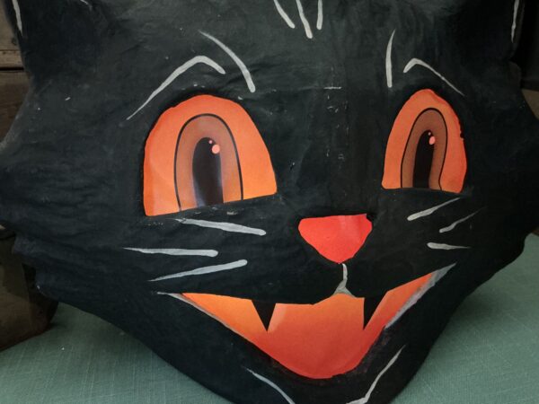 Mr Cool Cat Bucket - Image 6