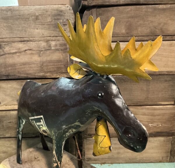 Moose