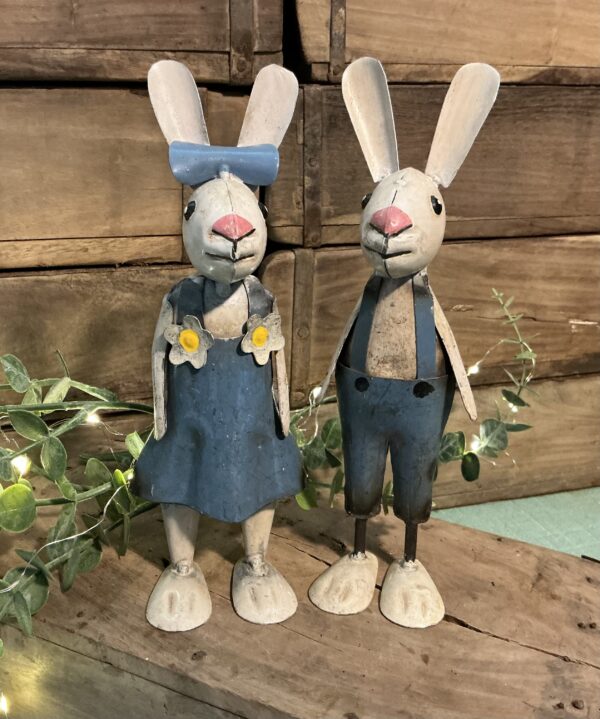 Rex & Robin Bunnies