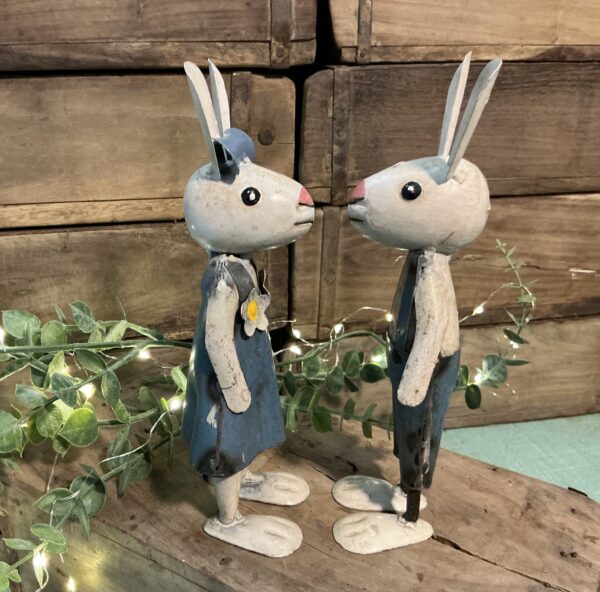 Rex & Robin Bunnies - Image 2