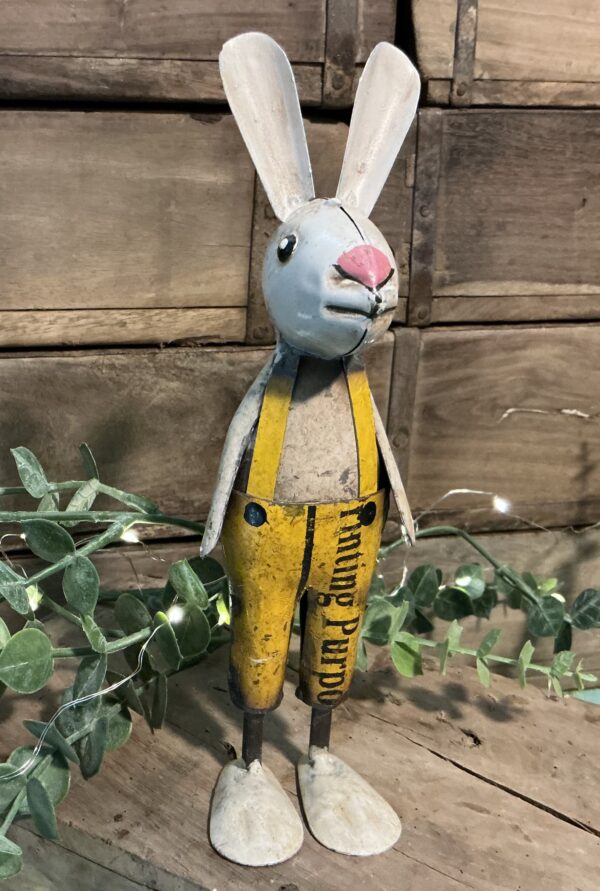 Max Bunny