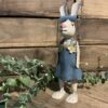 Robin Bunny
