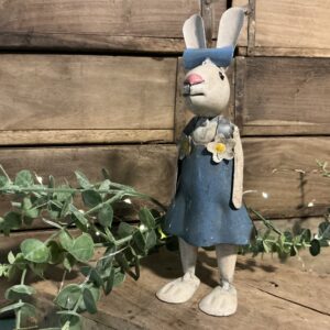 Robin Bunny