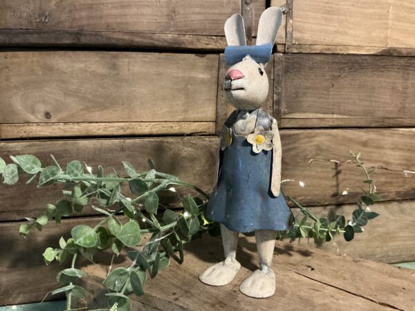 Robin Bunny
