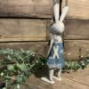 Robin Bunny - Image 2