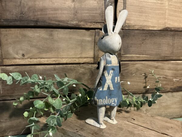 Robin Bunny - Image 2
