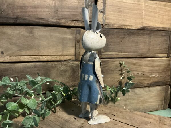 Robin Bunny - Image 3