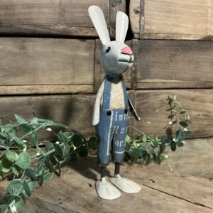 Rex Bunny