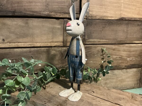 Rex Bunny - Image 2