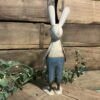 Rex Bunny - Image 3