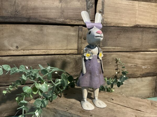 Violet Bunny
