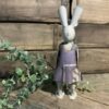 Violet Bunny - Image 2