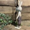 Vinnie Bunny - Image 4