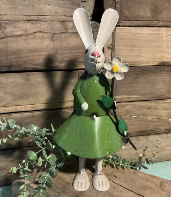 Daisy Rabbit with Daisy
