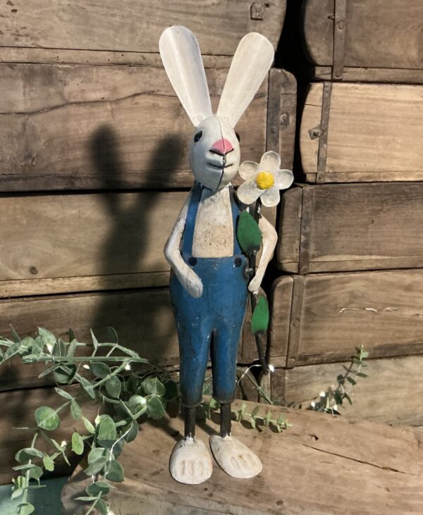 Drake Rabbit with Daisy