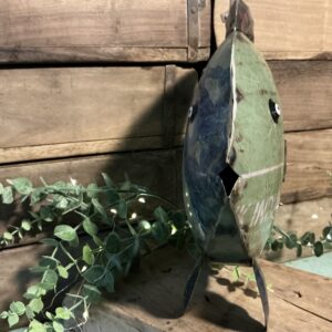 Fish Green Standing