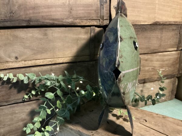 Fish Green Standing