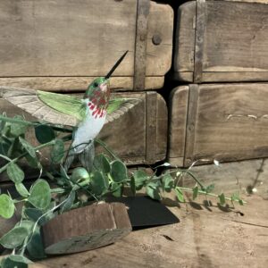 Flying Hummingbird (stand 1)