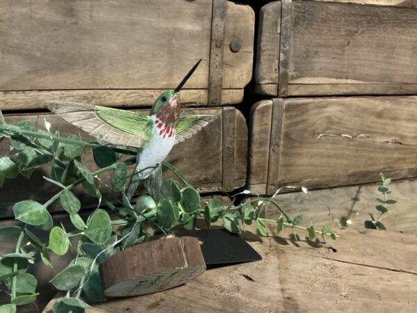 Flying Hummingbird (stand 1)