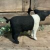 Hampshire Pig (small) - Image 2
