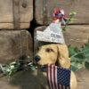 Americana Puppy