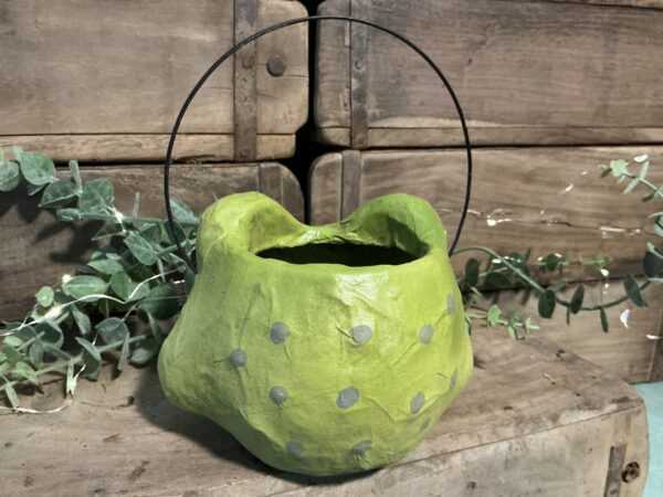 Froggie Bucket (small) - Image 3