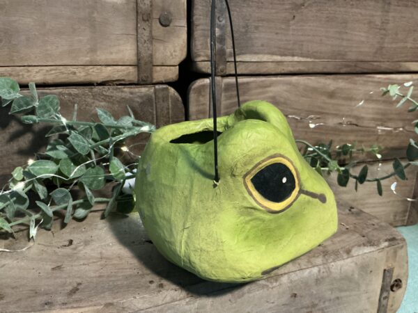Froggie Bucket (small) - Image 4
